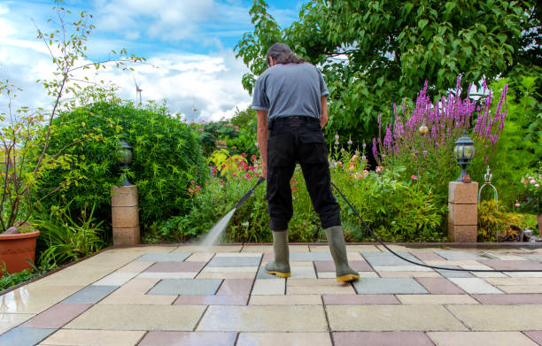Best Sidewalk and Walkway Cleaning  in Woodstock, AL