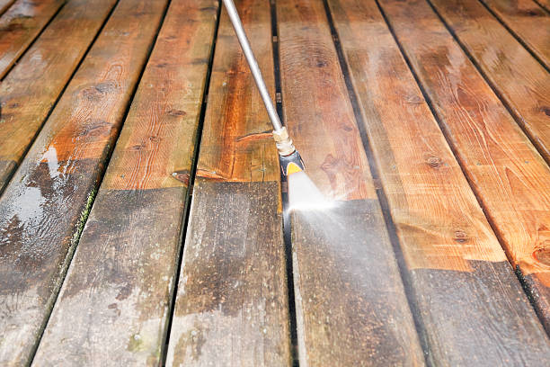 Animal Enclosure Cleaning in Woodstock, AL